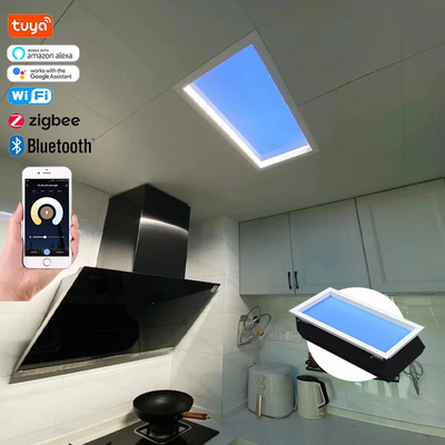 কেনা সিলিং মাউন্টড LED ফ্ল্যাট প্যানেল নাইট লাইট ডালি সমর্থন এবং মাউন্ট উপায় সঙ্গে অনলাইনে উৎপাদন