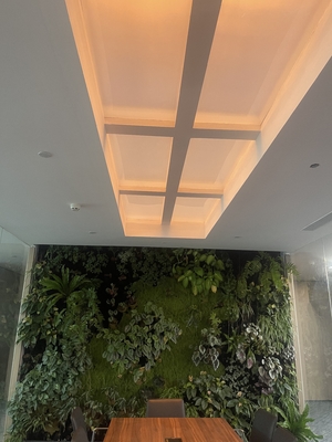 কেনা Rectangle Faux Skylight Panels 220mm Highness Customizable Solutions অনলাইনে উৎপাদন